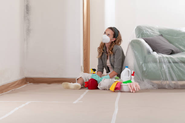 Reliable Commercial Mold Remediation contractor in Long Valley, NJ by WQB Mold Removal