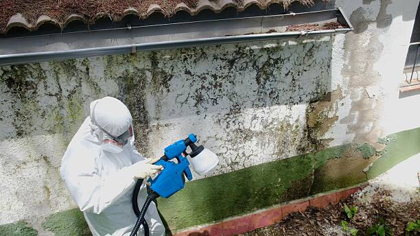 Top rated local Commercial Mold Remediation specialists in Long Valley, NJ